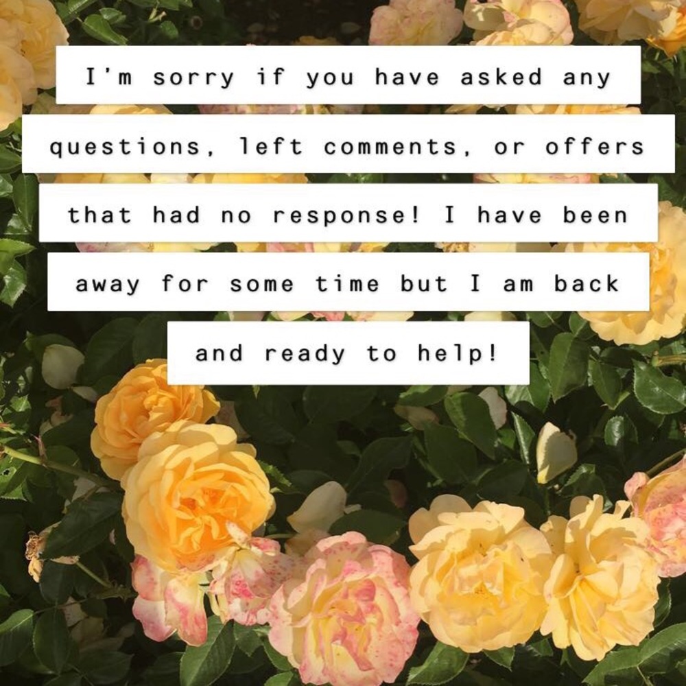 Dearest apologies